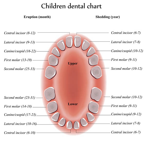 Dental Courses In Delhi,cosmetic dental surgery in delhi ,cosmetic dentist in delhi,Dental Implants Clinic in Delhi,cosmetic dentist delhi,dentist in delhi,dental implant courses in delhi,cost of tooth implant in delhi,tooth implant cost in delhi,cosmetic dentistry in delhi,dental clinic in delhi,laser dentistry courses in delhi,cosmetic dental surgery Delhi